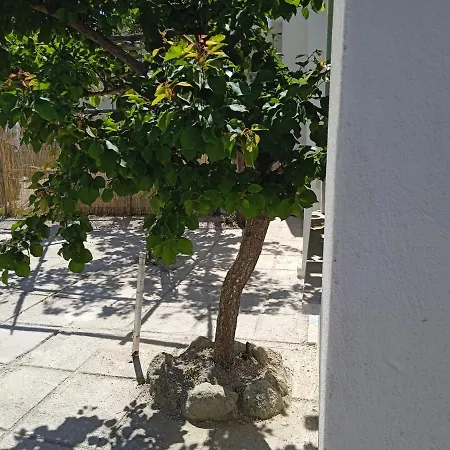 Mati Maison Forio di Ischia