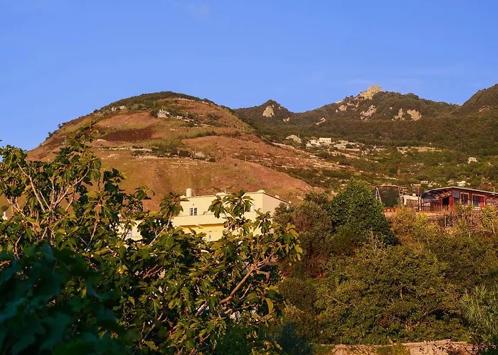 Mati Maison *